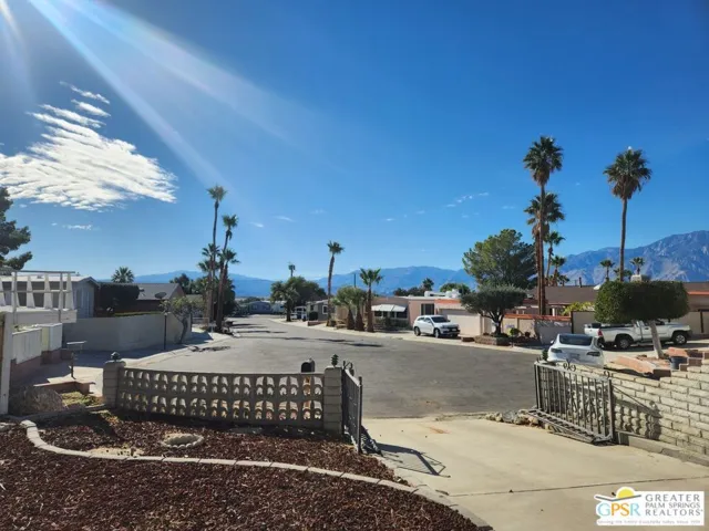 View Out Front Windows