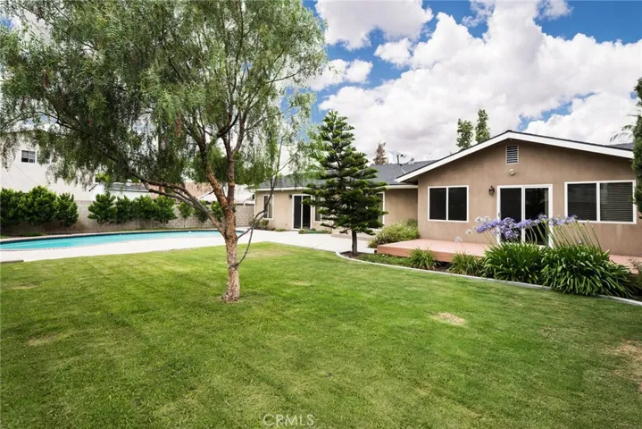 Backyard.