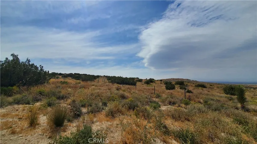 0 126th St East, Pearblossom, California 93553