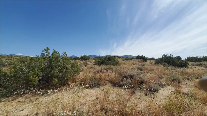 0 126th St East, Pearblossom, California 93553