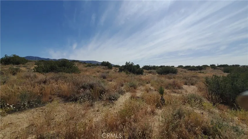 0 126th St East, Pearblossom, California 93553