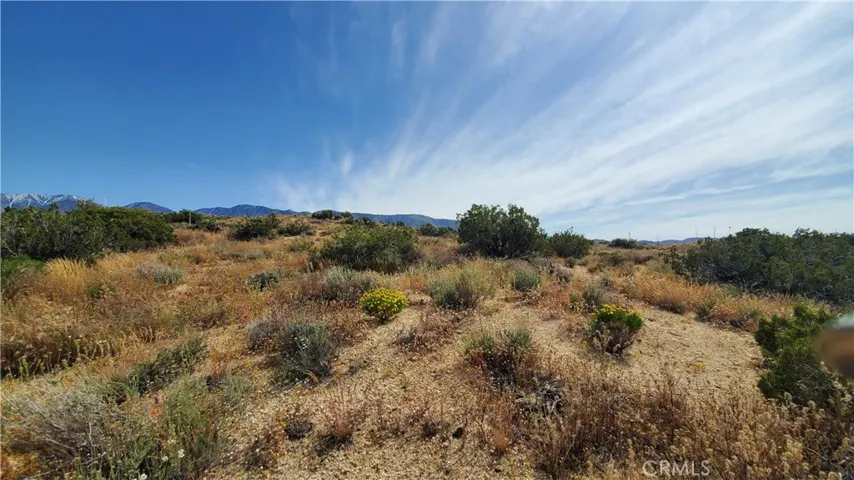 0 126th St East, Pearblossom, California 93553