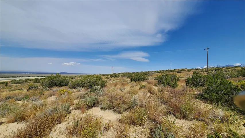 0 126th St East, Pearblossom, California 93553