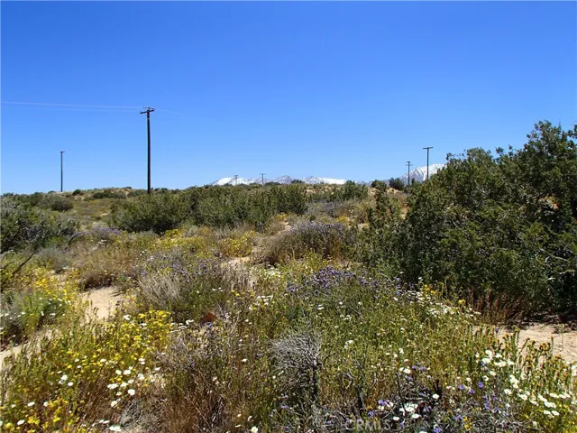 0 126th St East, Pearblossom, California 93553