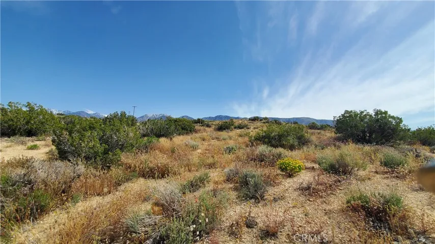 0 126th St East, Pearblossom, California 93553