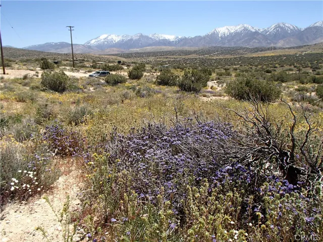 0 126th St East, Pearblossom, California 93553
