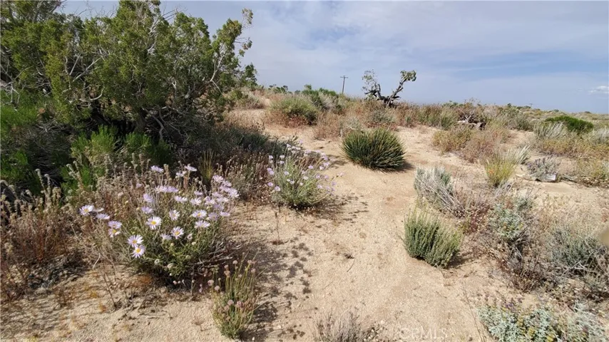0 126th St East, Pearblossom, California 93553