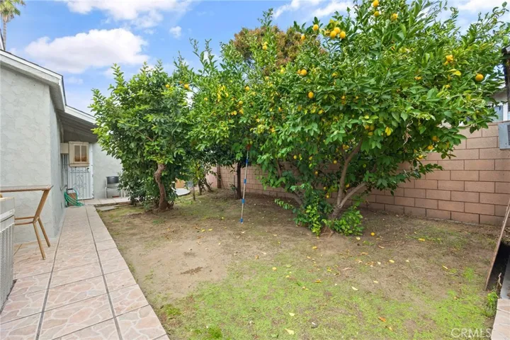 Fruit Trees
