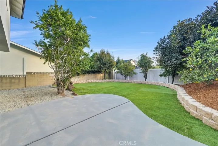Large open yard area