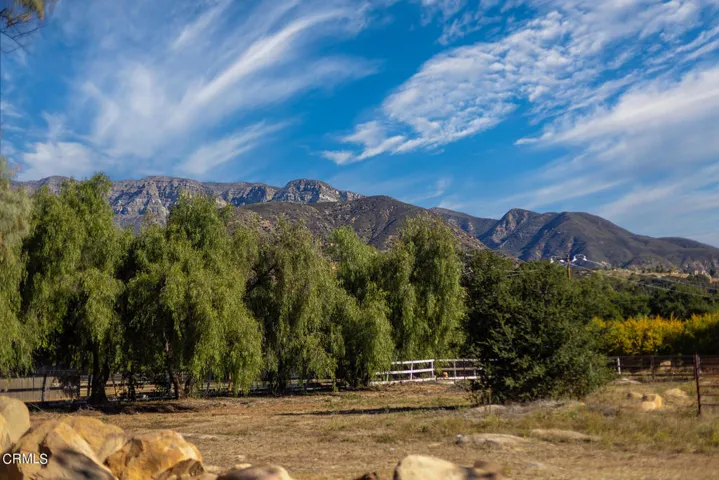 S8C_12523 Tree Ranch_13
