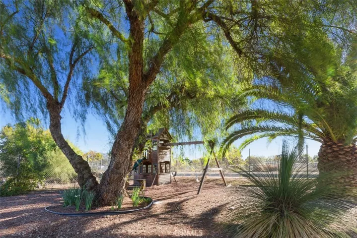 Frolic among the trees and enjoy the playset