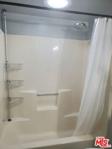 Custom Designed Tub/Shower w/ Skylight