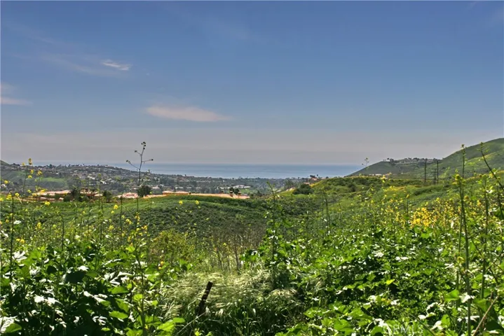 29481 Riviera Court, San Juan Capistrano, California 92675