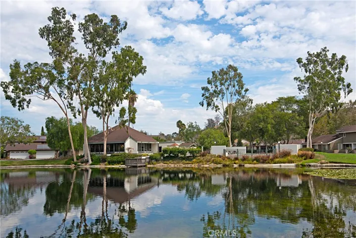 29481 Riviera Court, San Juan Capistrano, California 92675