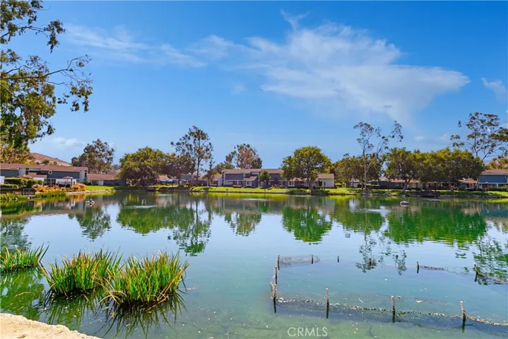 29481 Riviera Court, San Juan Capistrano, California 92675