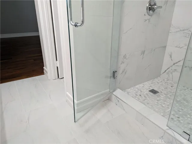 remodelel primary bathroom - walk-in shower