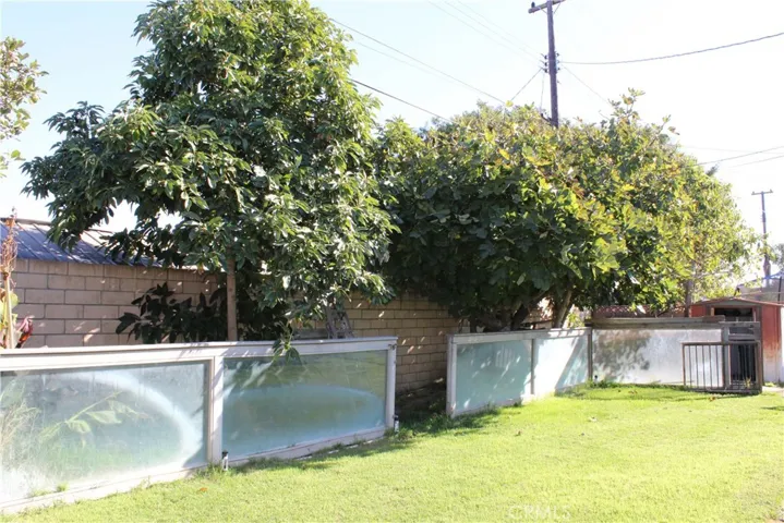 Fruit bearing trees, mature avacado & fig