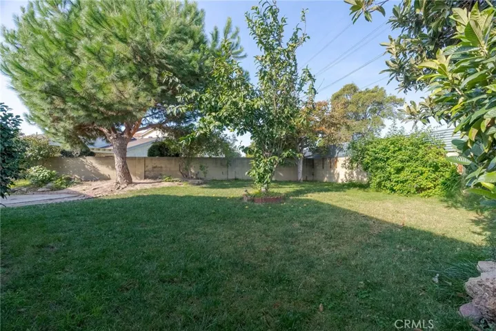 1641 S Carnelian Street, Anaheim, California 92802