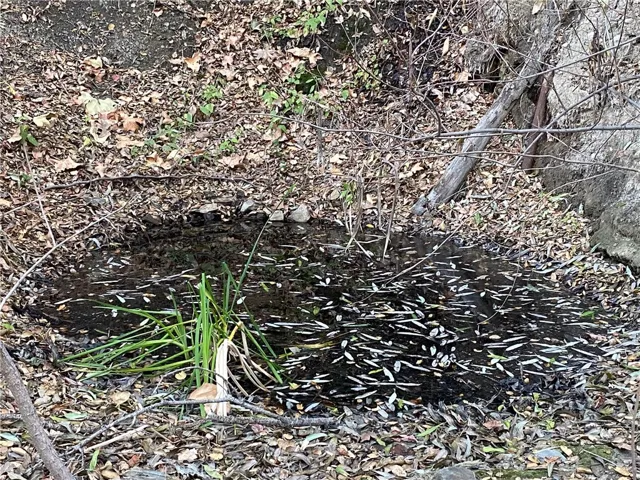 Accumulated spring water
