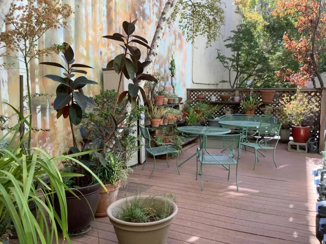 347 Ramona Street 2, Palo Alto, California 94301