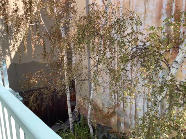 347 Ramona Street 2, Palo Alto, California 94301