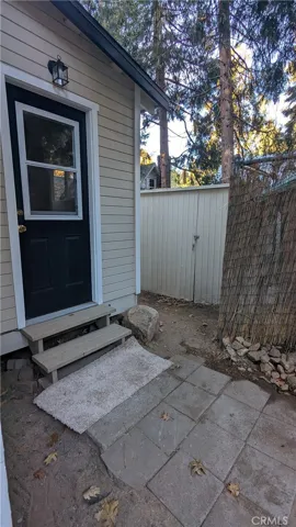 Back door and shed