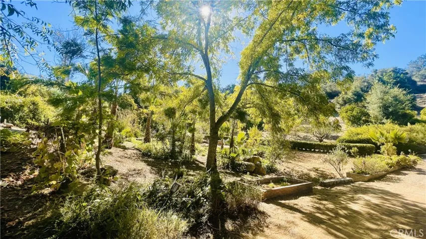 Meditation and Herb Garden