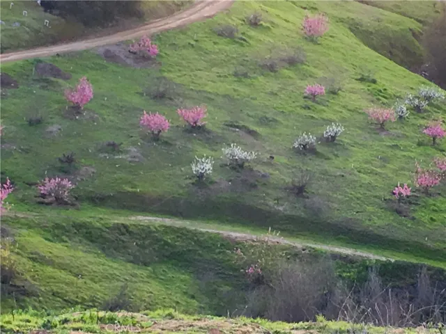 10622 W Lilac Road, Valley Center, California 92082