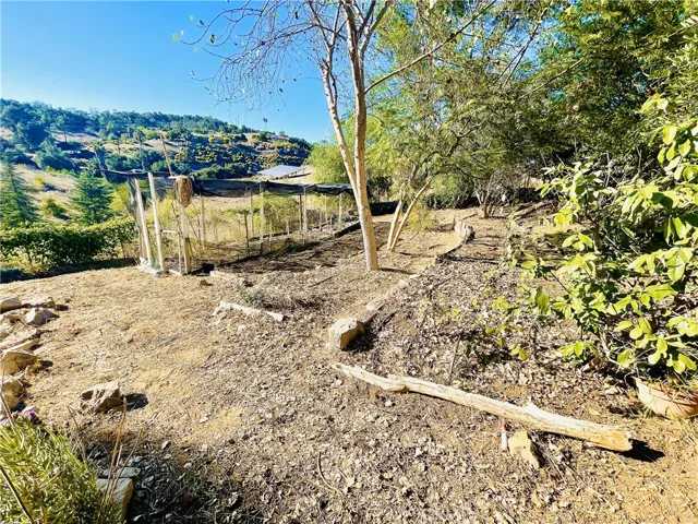 Meditation and Herb Garden