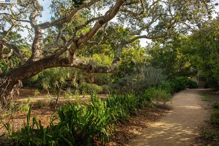 63 Montsalas Dr, Monterey, California 93940