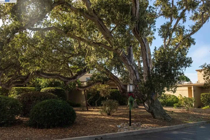63 Montsalas Dr, Monterey, California 93940
