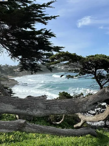 63 Montsalas Dr, Monterey, California 93940