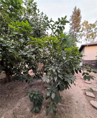 3050 S Bristol Street 12a, Santa Ana, California 92704