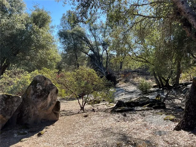 4148 Burl Drive, Mariposa, California 95338
