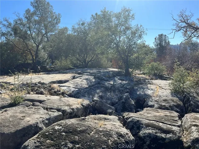 4148 Burl Drive, Mariposa, California 95338