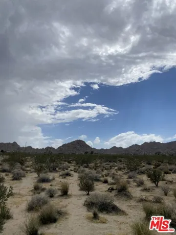 6700 California Avenue, Joshua Tree, California 92252