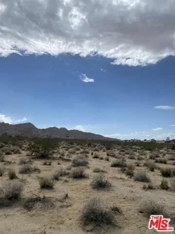 6700 California Avenue, Joshua Tree, California 92252