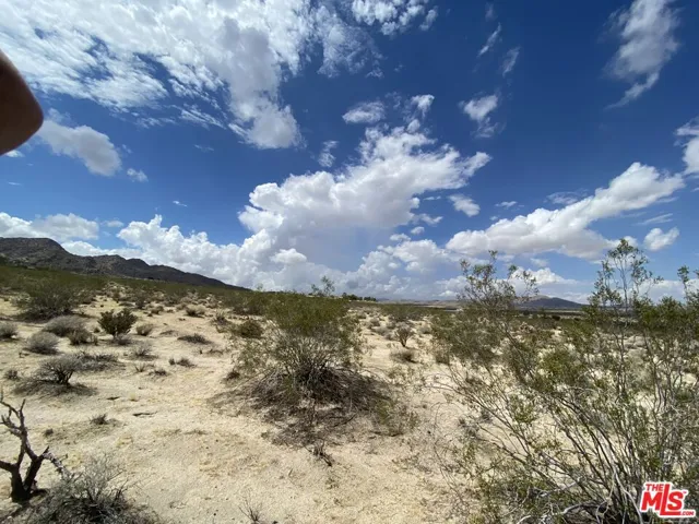 6700 California Avenue, Joshua Tree, California 92252