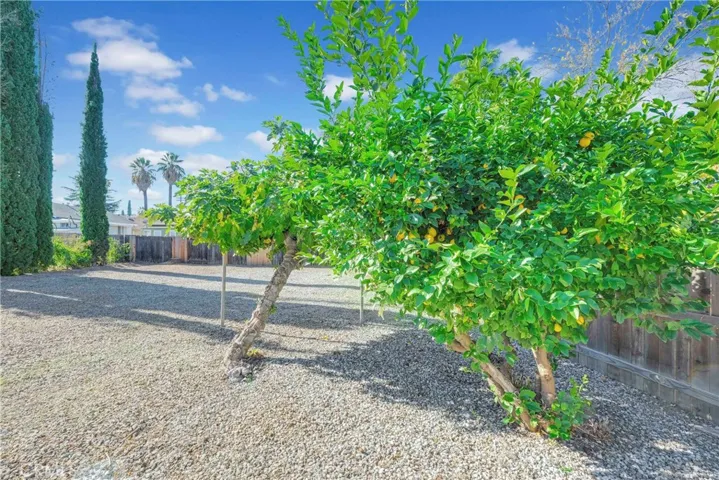 250 Sonora Street, Redlands, California 92373