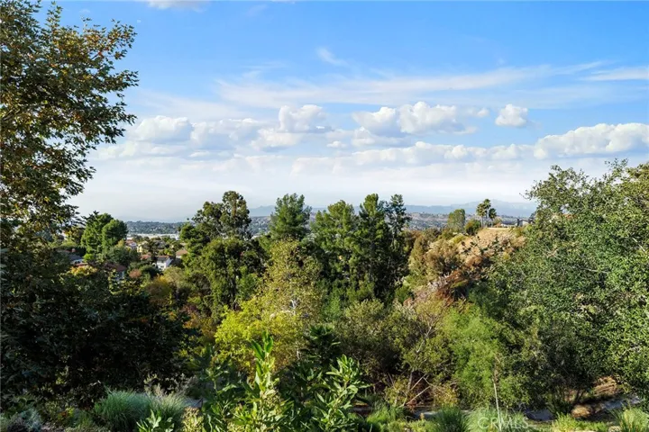 1517 Diamond Court, Diamond Bar, California 91765