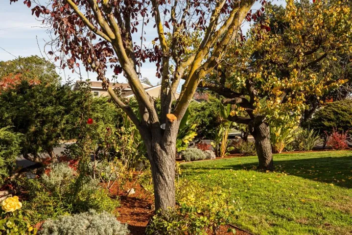 3704 Cass Way, Palo Alto, California 94306