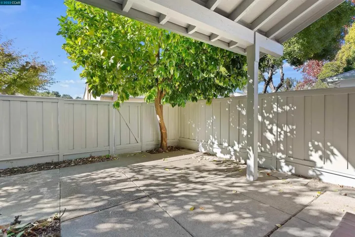 Back Patio