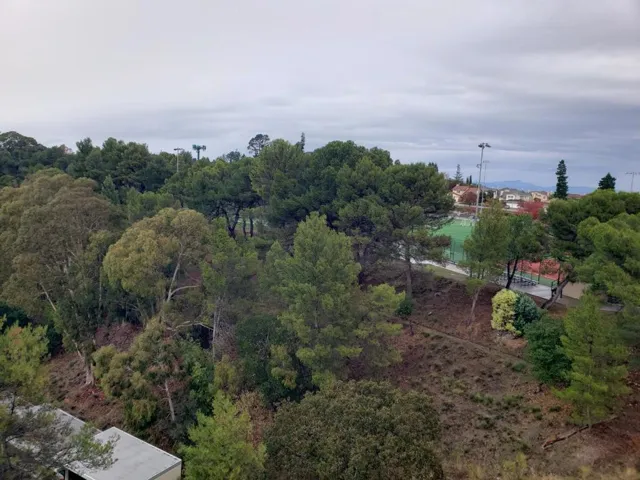 wonderful view