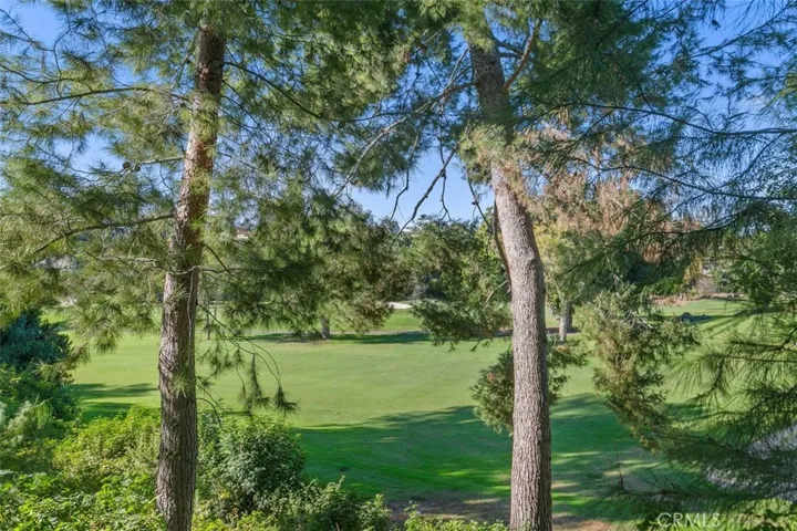 GOLF COURSE OUT YOUR BACK DOOR MAKES FOR A PEACEFUL AND SERENE ENVIROMENT.
