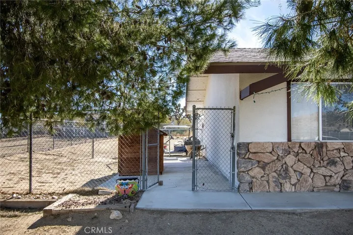 DOGGIE HOUSE FOR SEVRAL DOGS!
