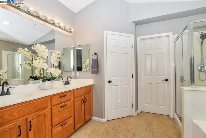 235 Weeping Willow Ct, Brentwood, California 94513