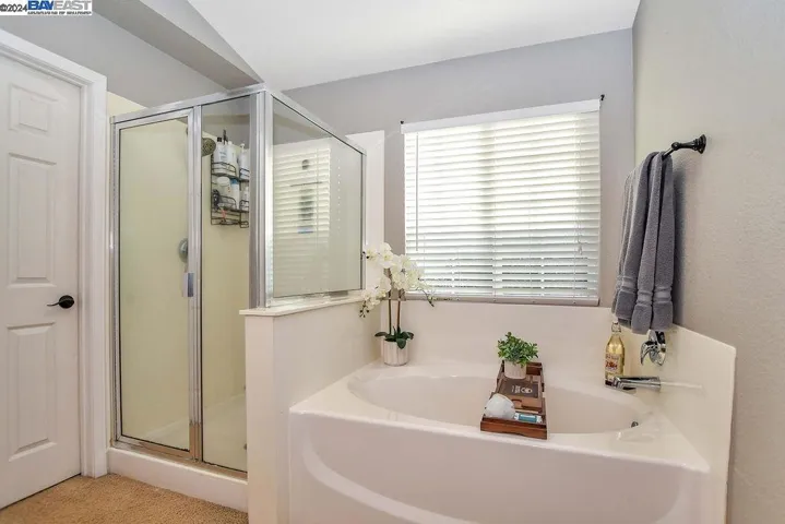 235 Weeping Willow Ct, Brentwood, California 94513