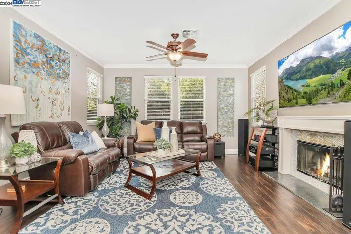 235 Weeping Willow Ct, Brentwood, California 94513