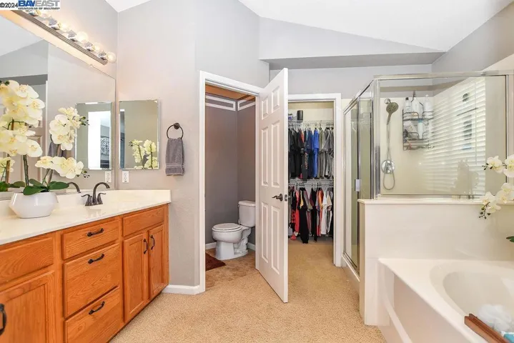 235 Weeping Willow Ct, Brentwood, California 94513