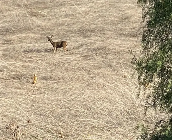 Experience Nature Right out your front door.